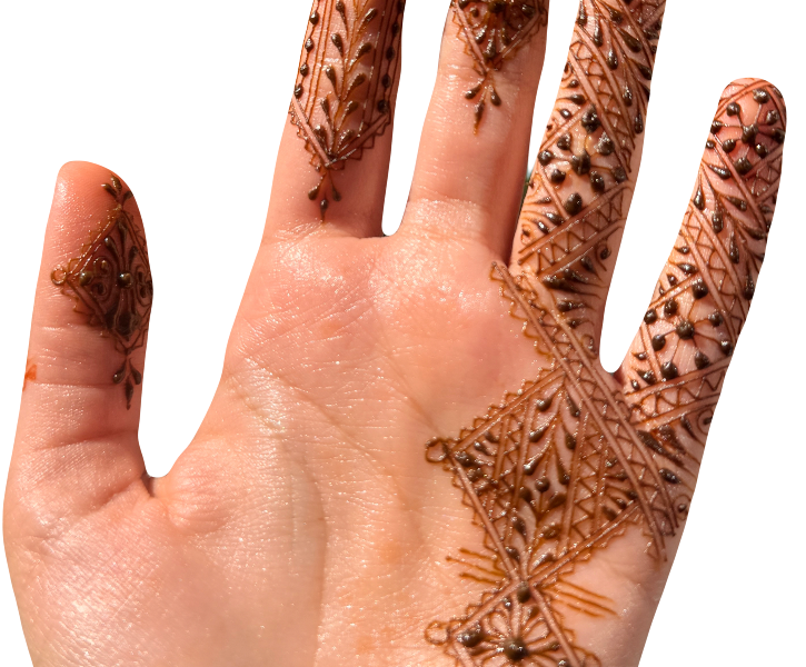 Modèle Moyen (1 main)